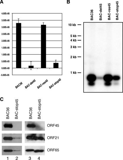 FIG. 6.