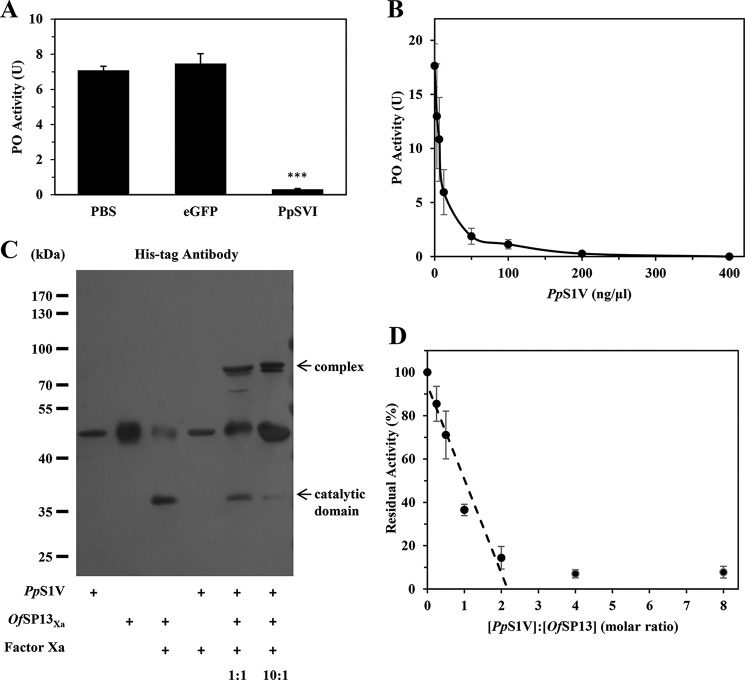 FIGURE 11.