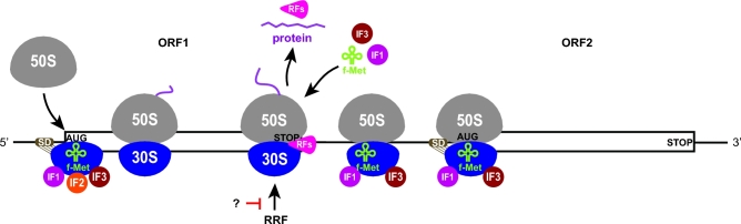 Figure 9.