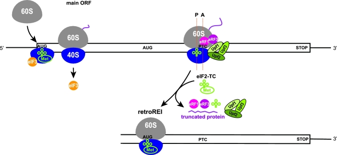 Figure 10.