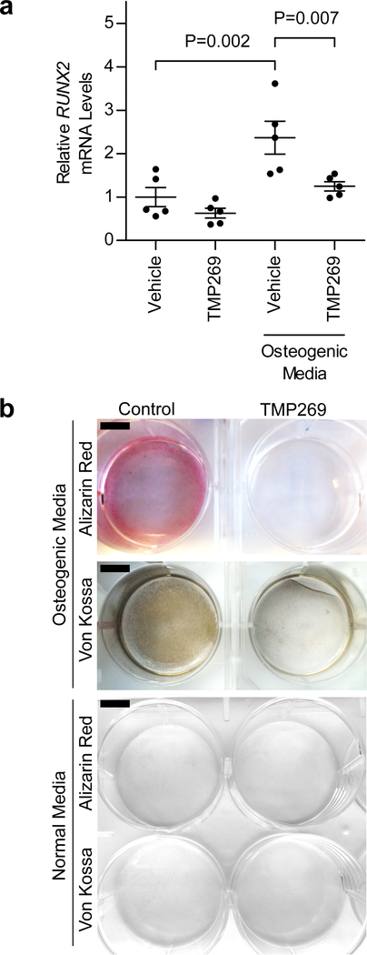 Figure 2 |