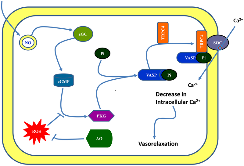 Figure 7.