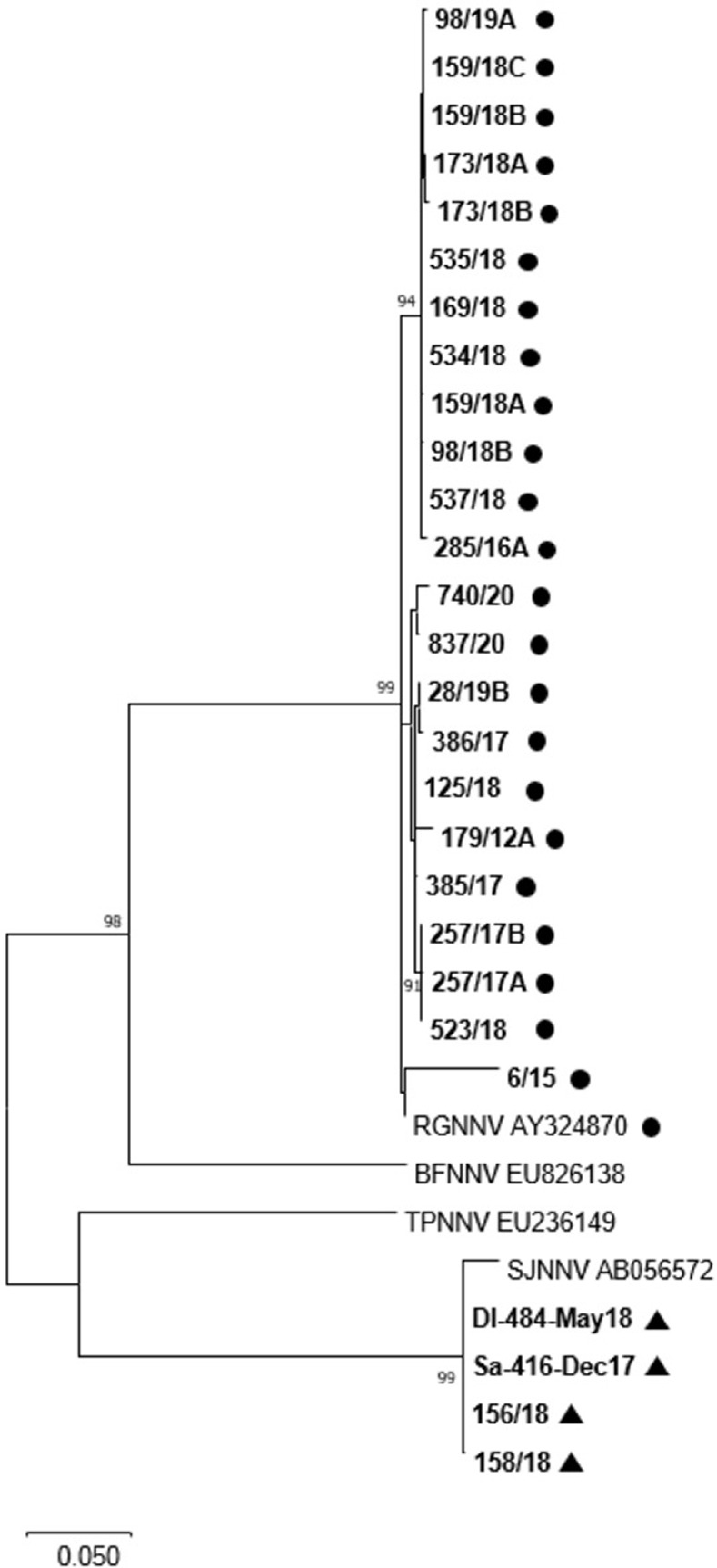 Fig 6