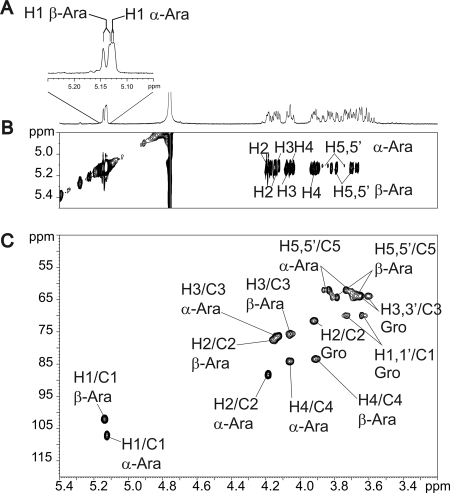 FIGURE 4.