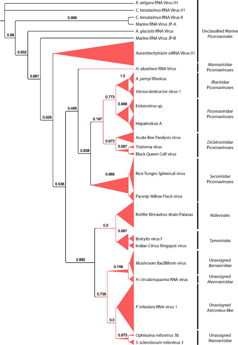 FIG 2