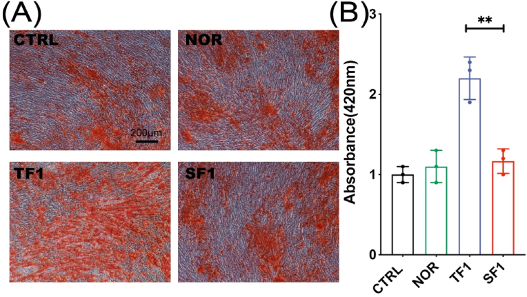 Figure 6