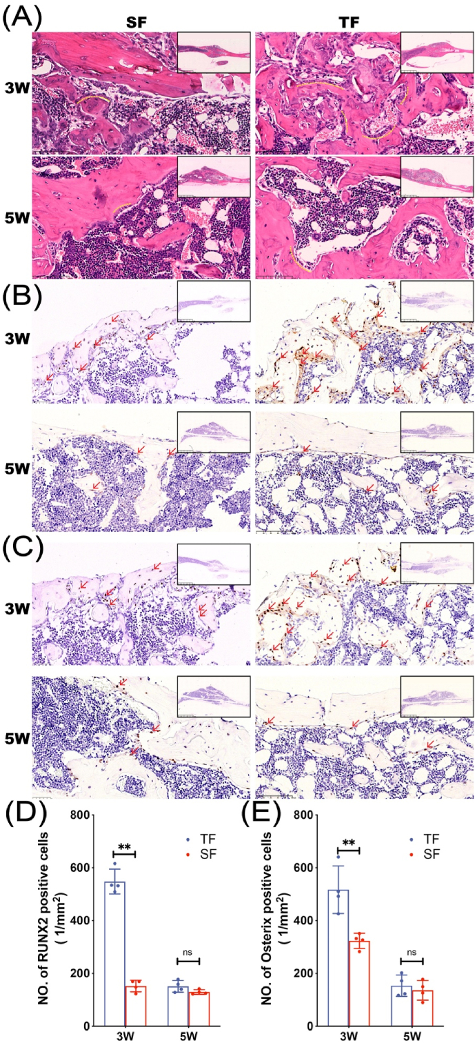 Figure 2