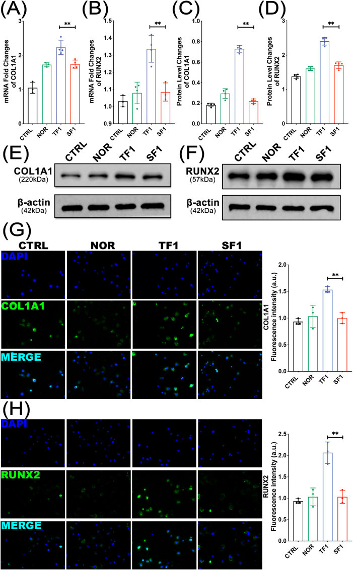 Figure 5