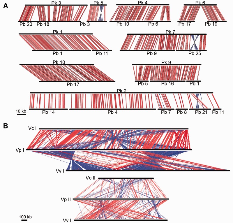 Fig. 1.—