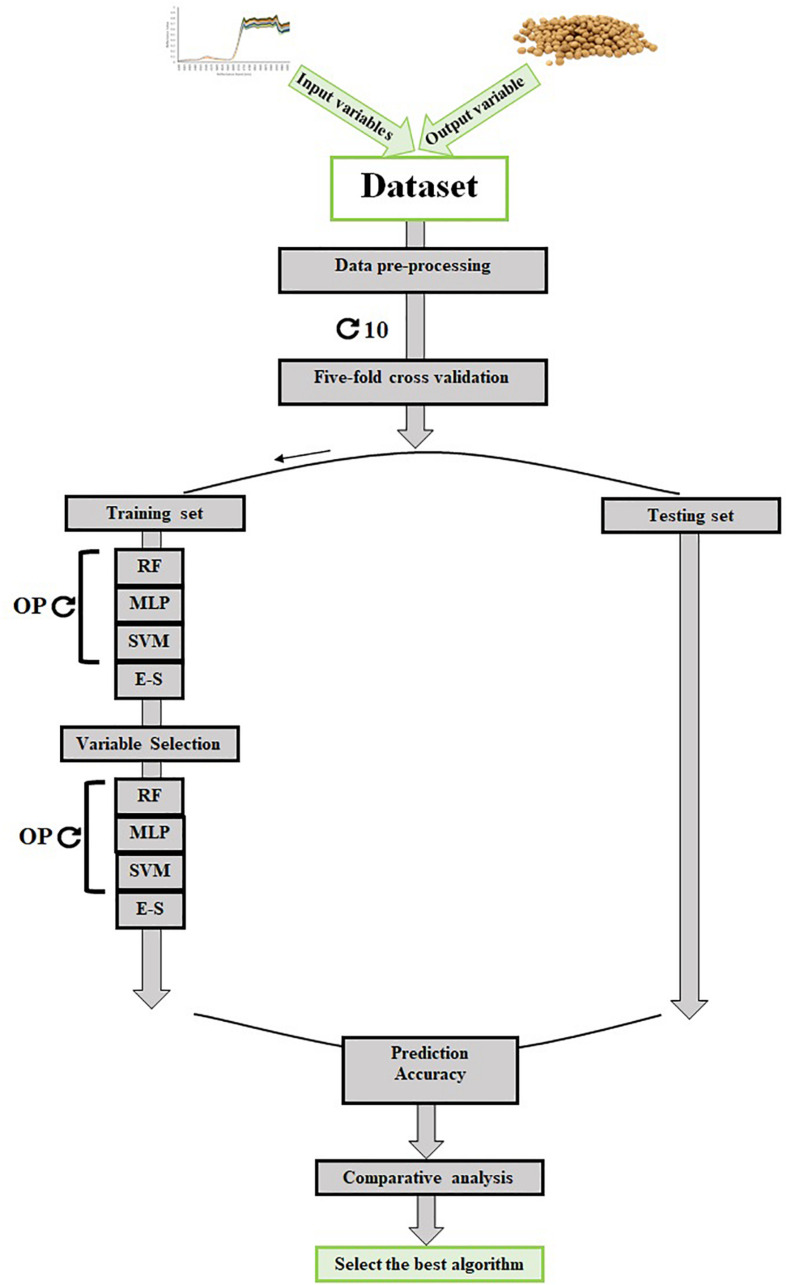 FIGURE 4