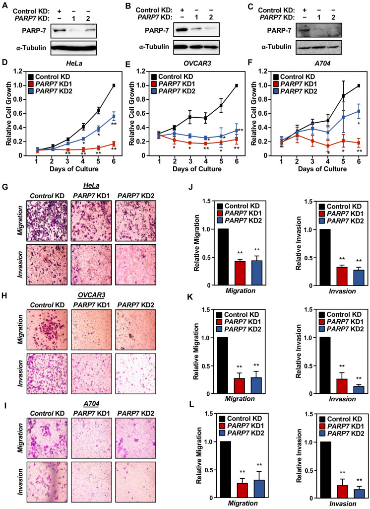 Figure 1—figure supplement 2.