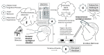 Cognition, behavior, and conscious experience are based on different underlying mechanisms