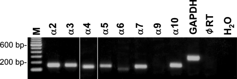 Fig. 9