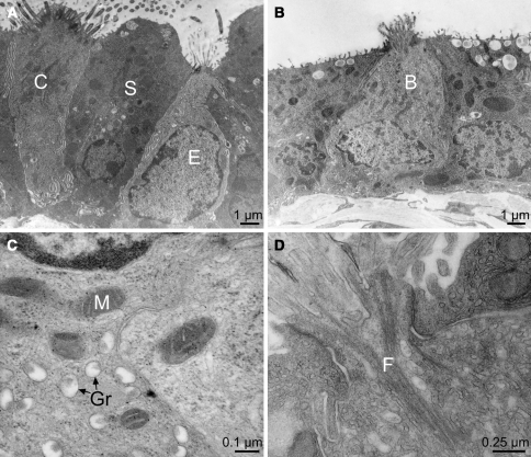 Fig. 2