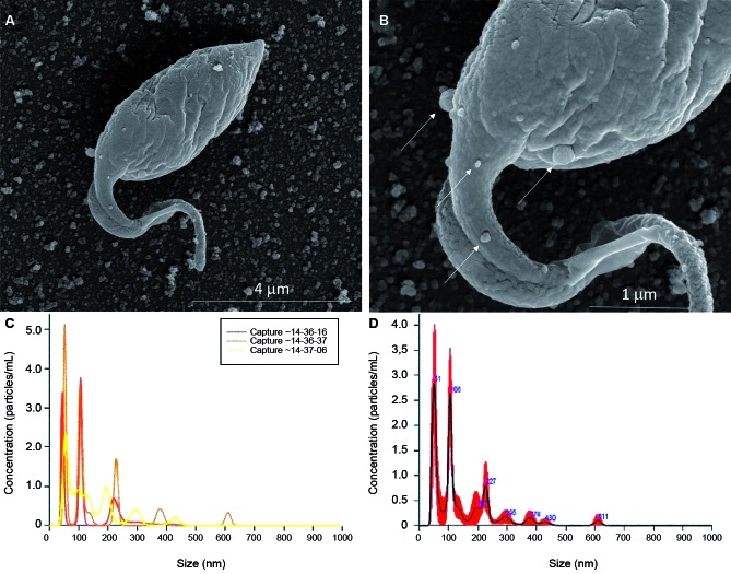 Fig. 2: