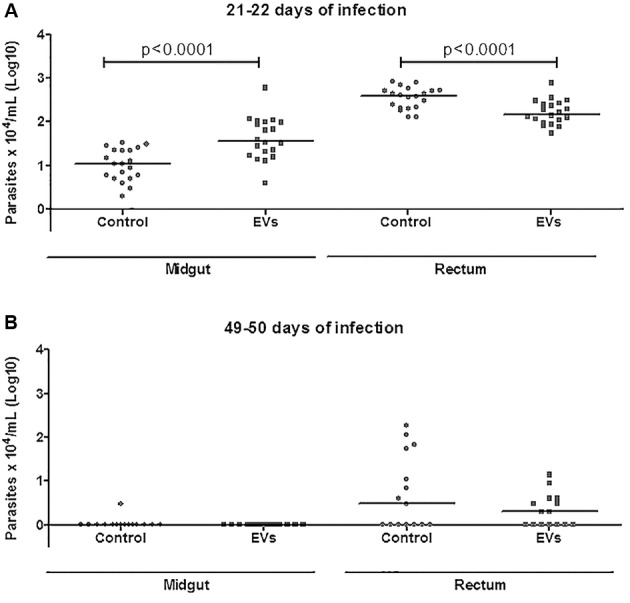 Fig. 4: