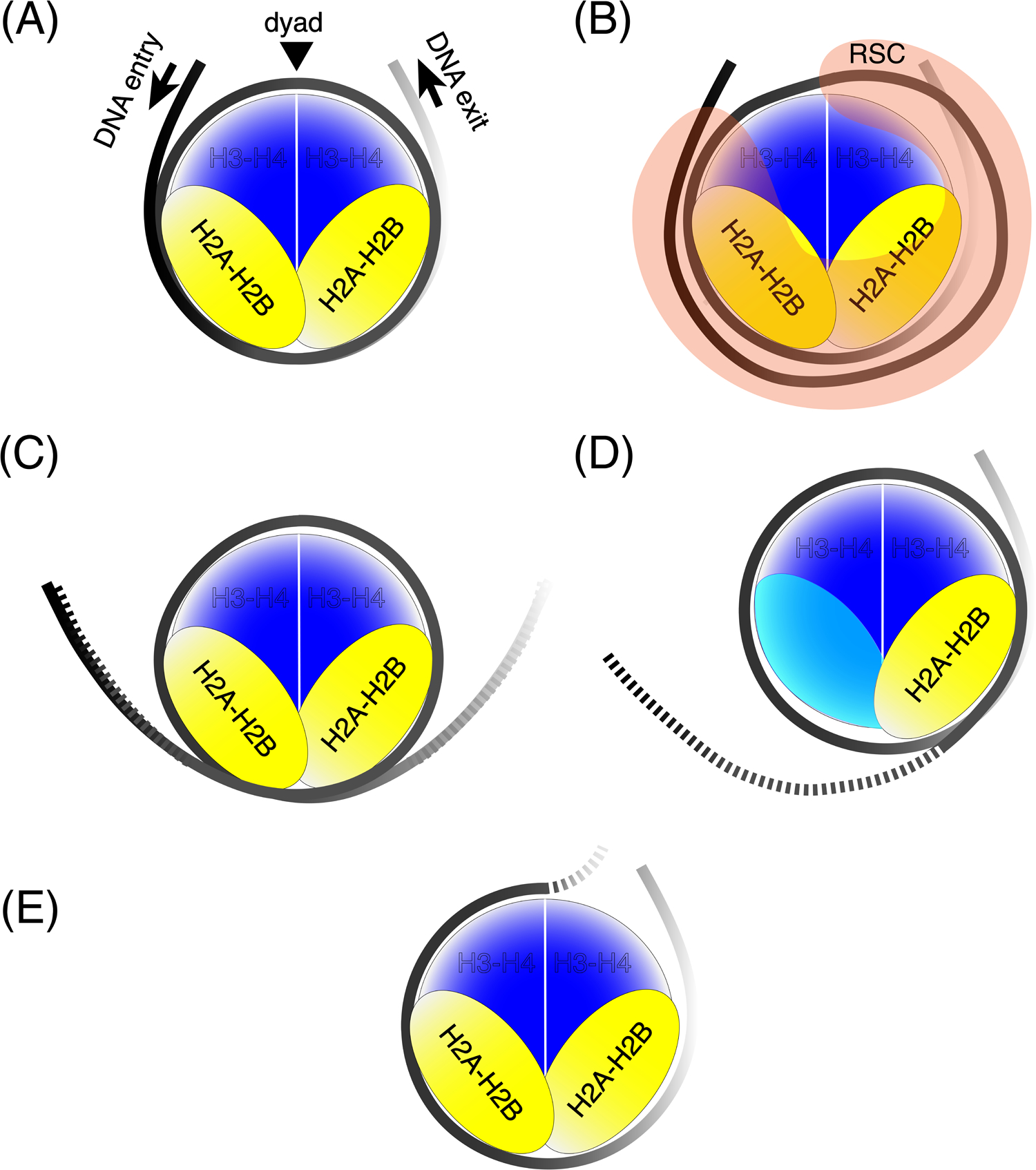 Figure 2: