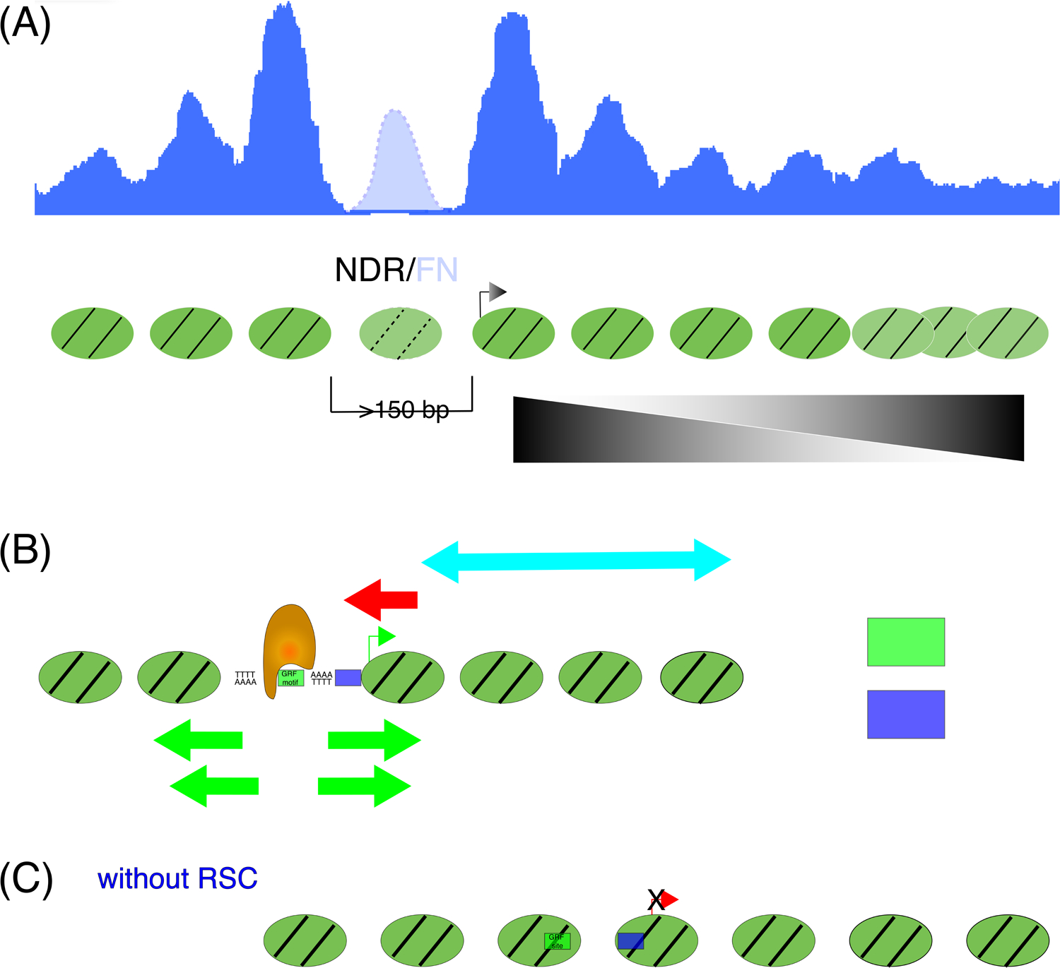 Figure 1: