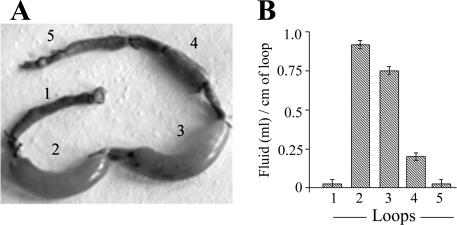 FIG. 7.