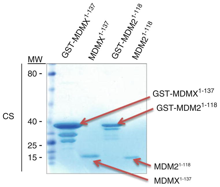 Fig. 4