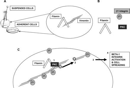 Fig. 10.