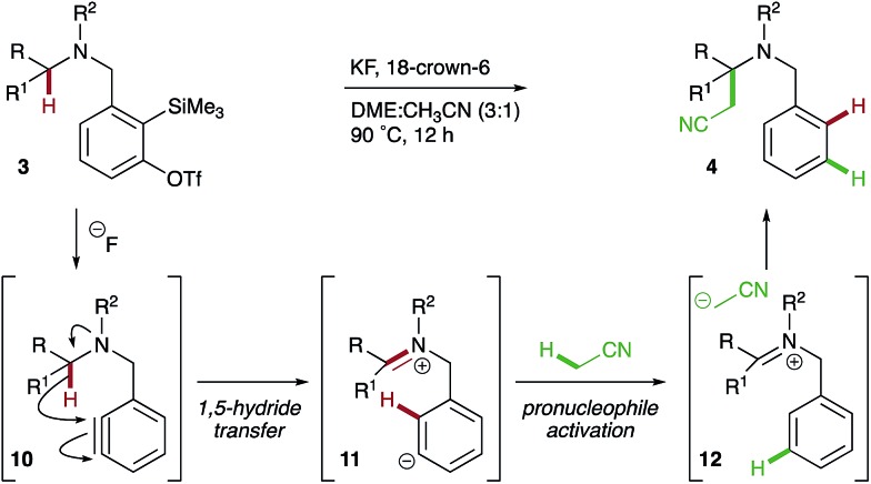 Scheme 6