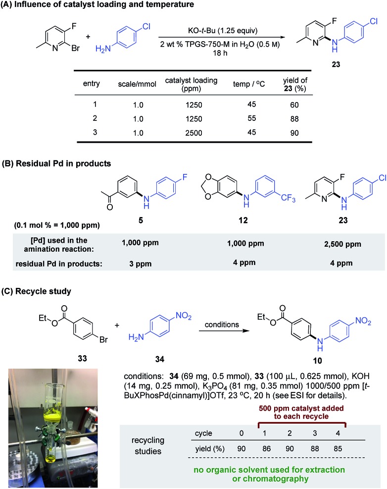 Scheme 4