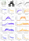 Figure 1 –