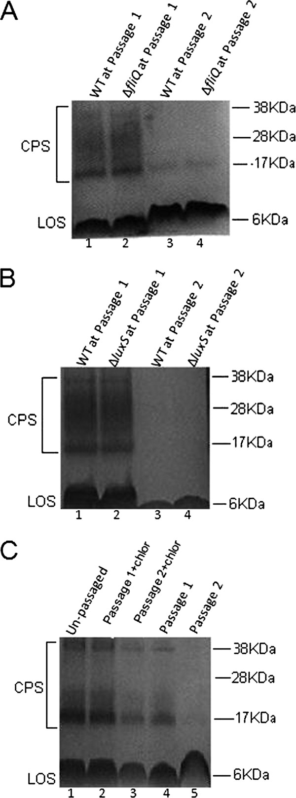 FIG. 6.