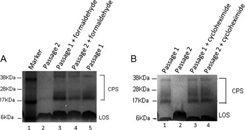 FIG. 5.