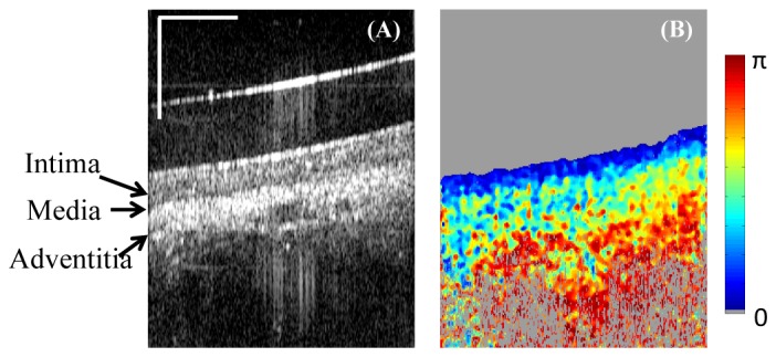 Fig. 9