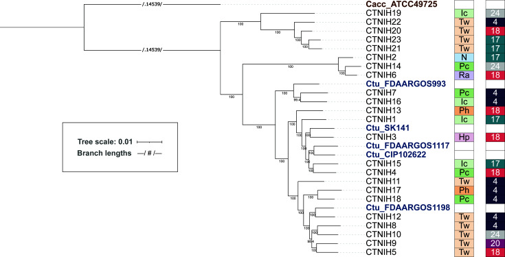 Fig 2