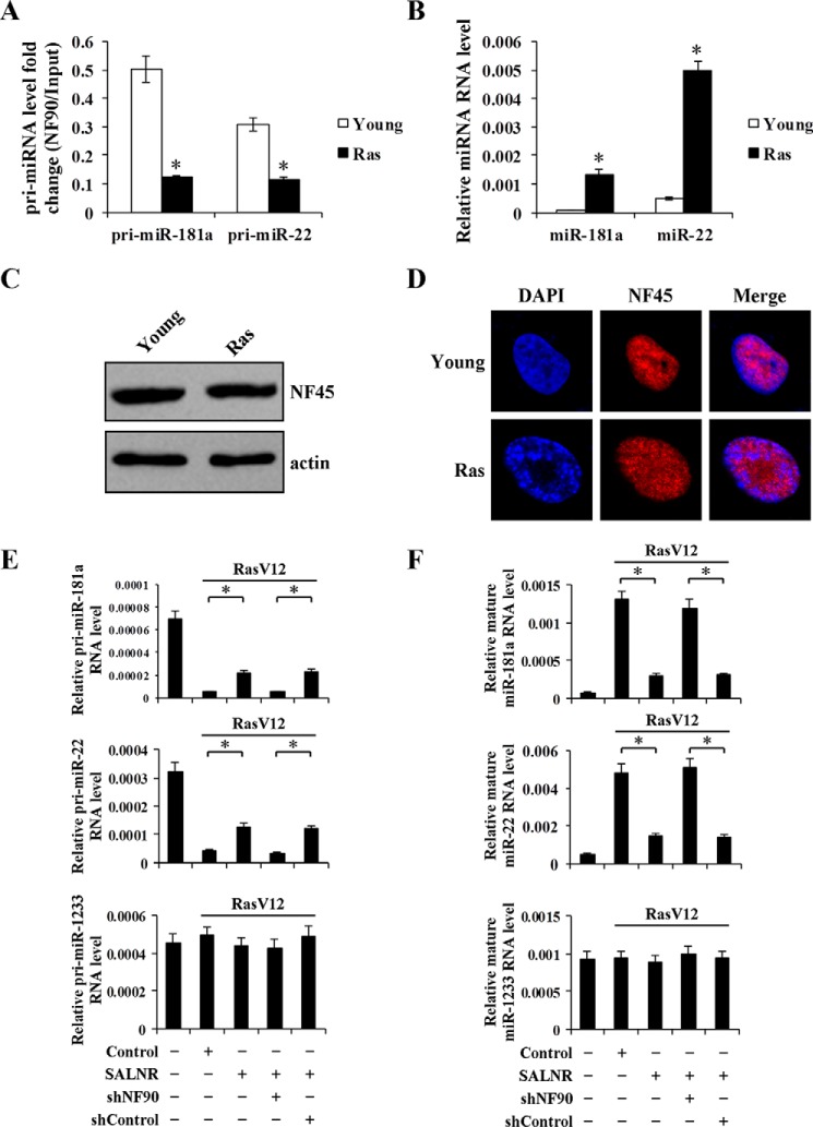 FIGURE 11.