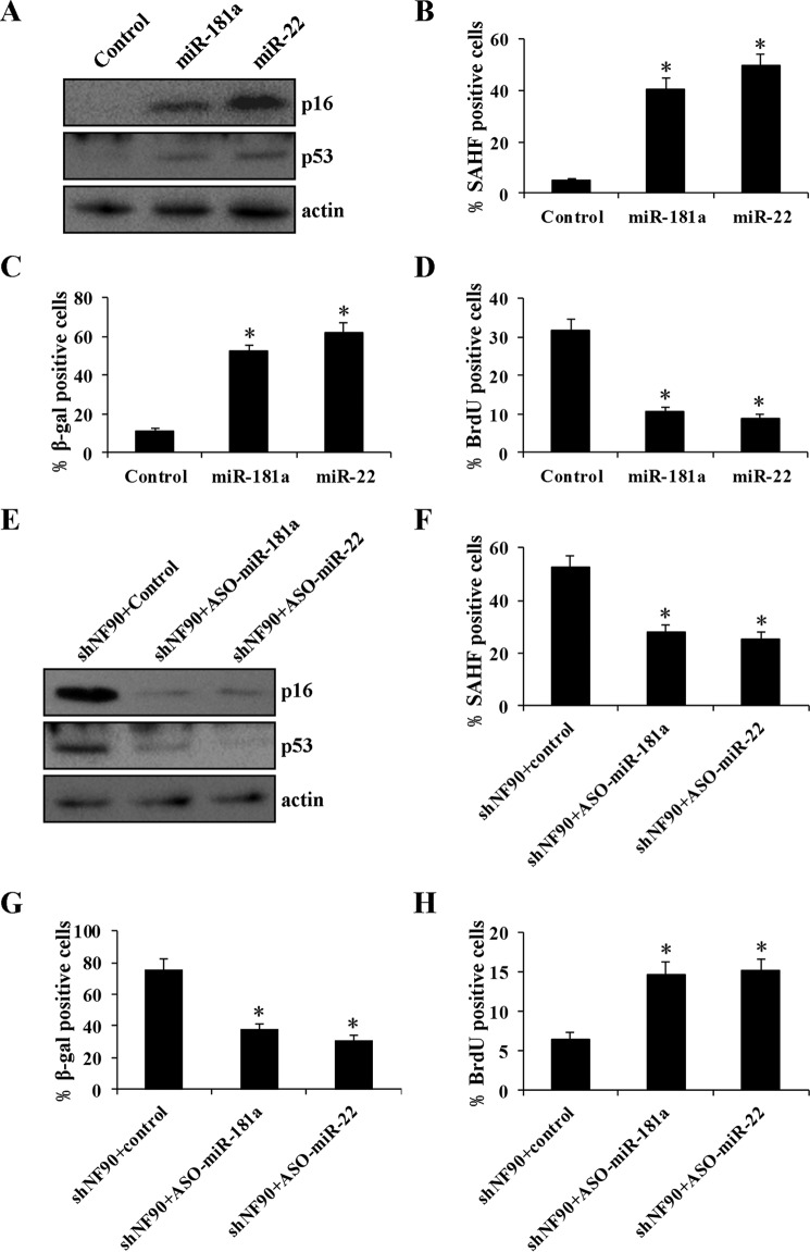 FIGURE 10.