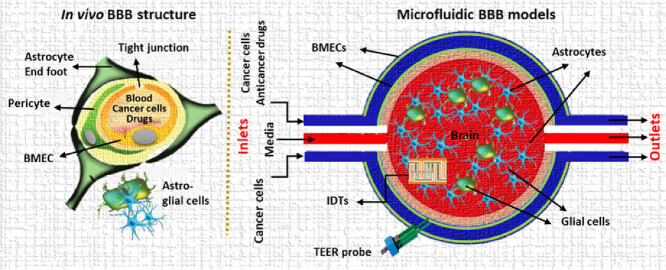 Image, graphical abstract