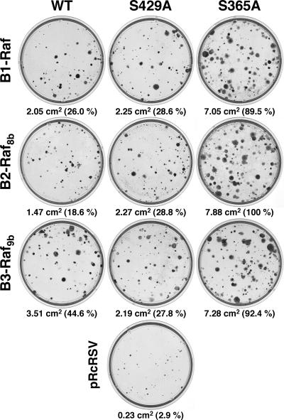 FIG. 6.