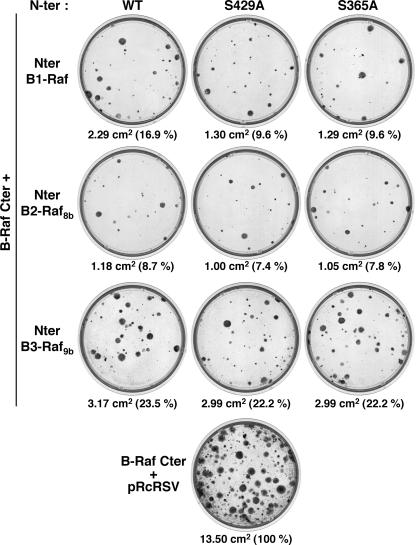 FIG. 8.