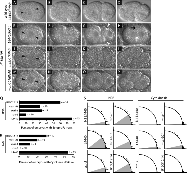 Figure 4.—