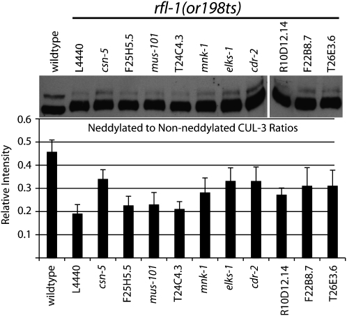 Figure 5.—