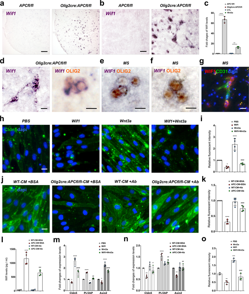 Fig. 6: