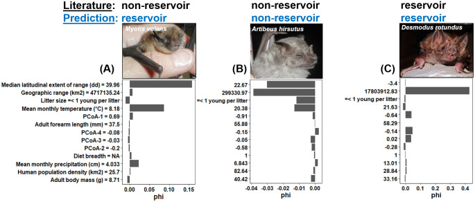 Using host traits to predict reservoir host species of rabies virus - PMC