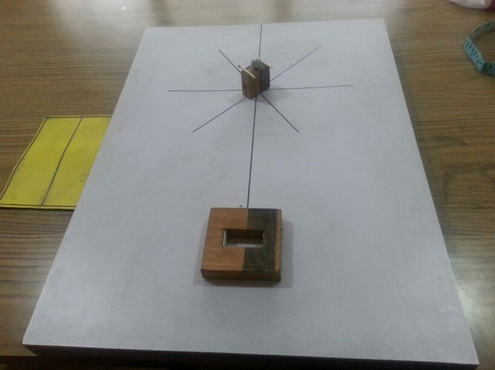 FIGURE 2