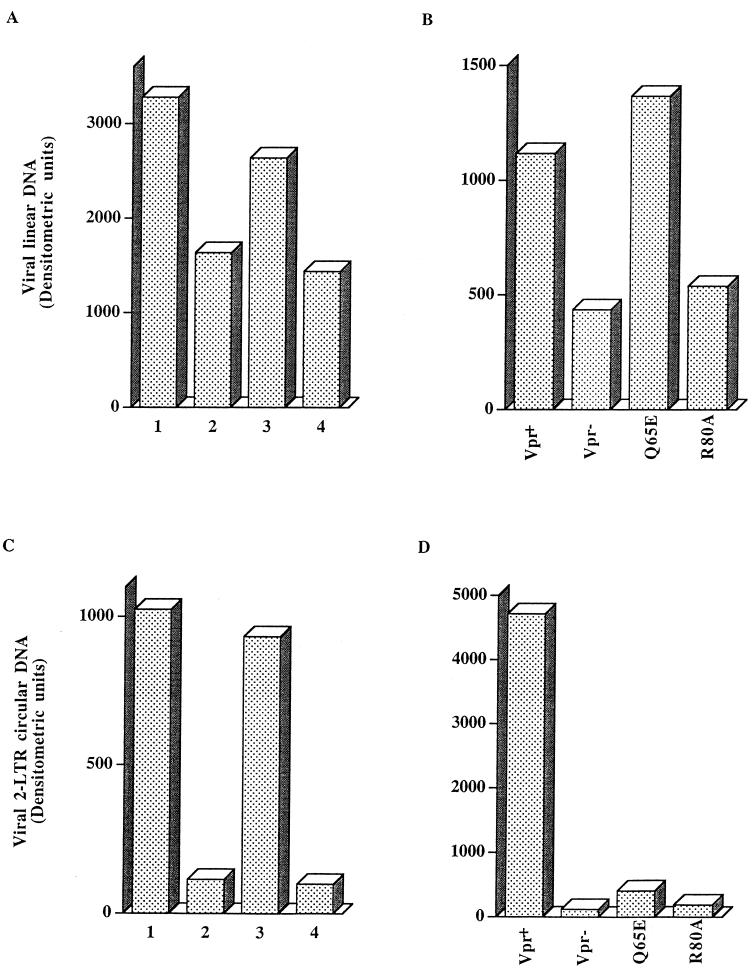 FIG. 7