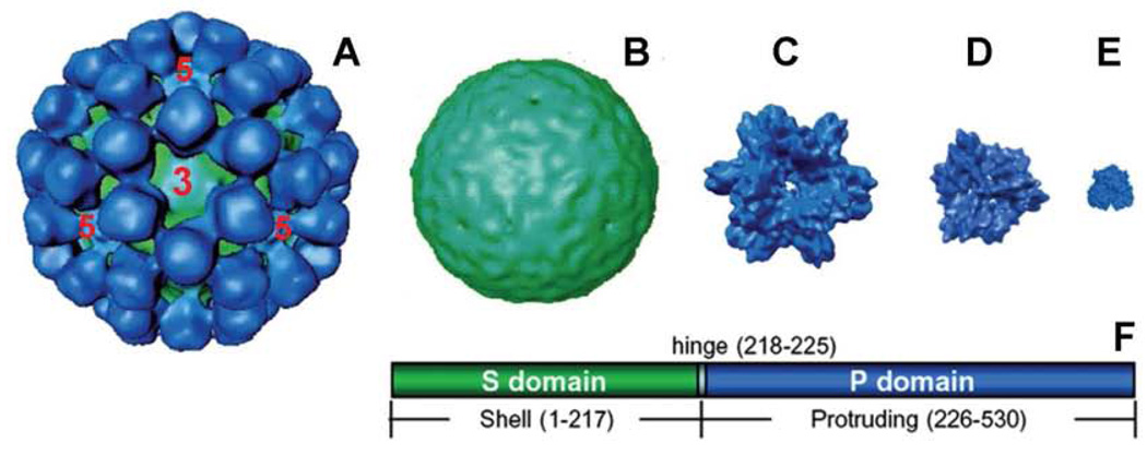 Fig 5