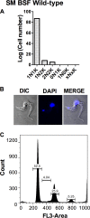 FIG 8
