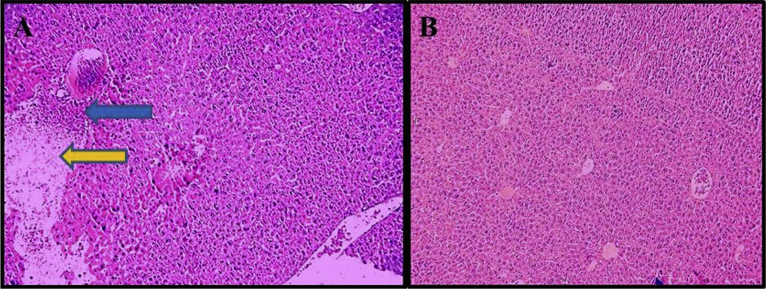 Fig. 9