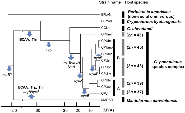 Fig. 4.—