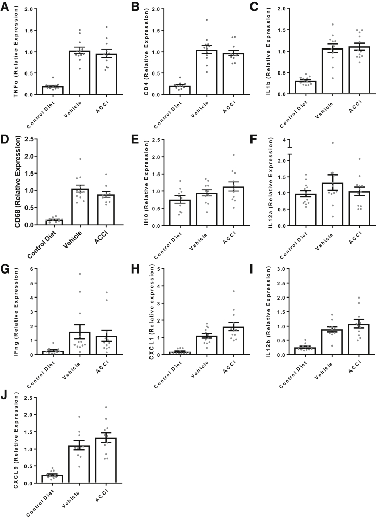 Figure 12