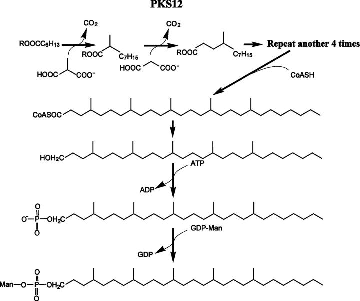 Figure 5.