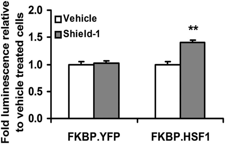 Figure 13.